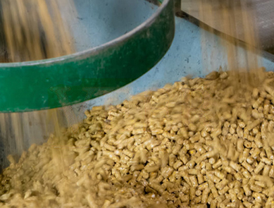 飼料行業-蒸汽節能方案